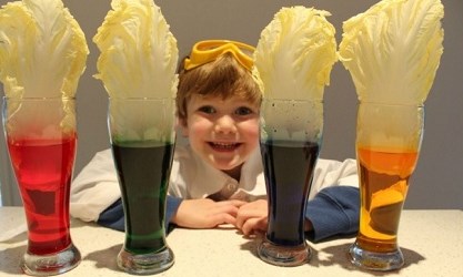 Brightside gợi ý 10 thí nghiệm khoa học đơn giản trẻ hoàn toàn có thể tự làm tại nhà